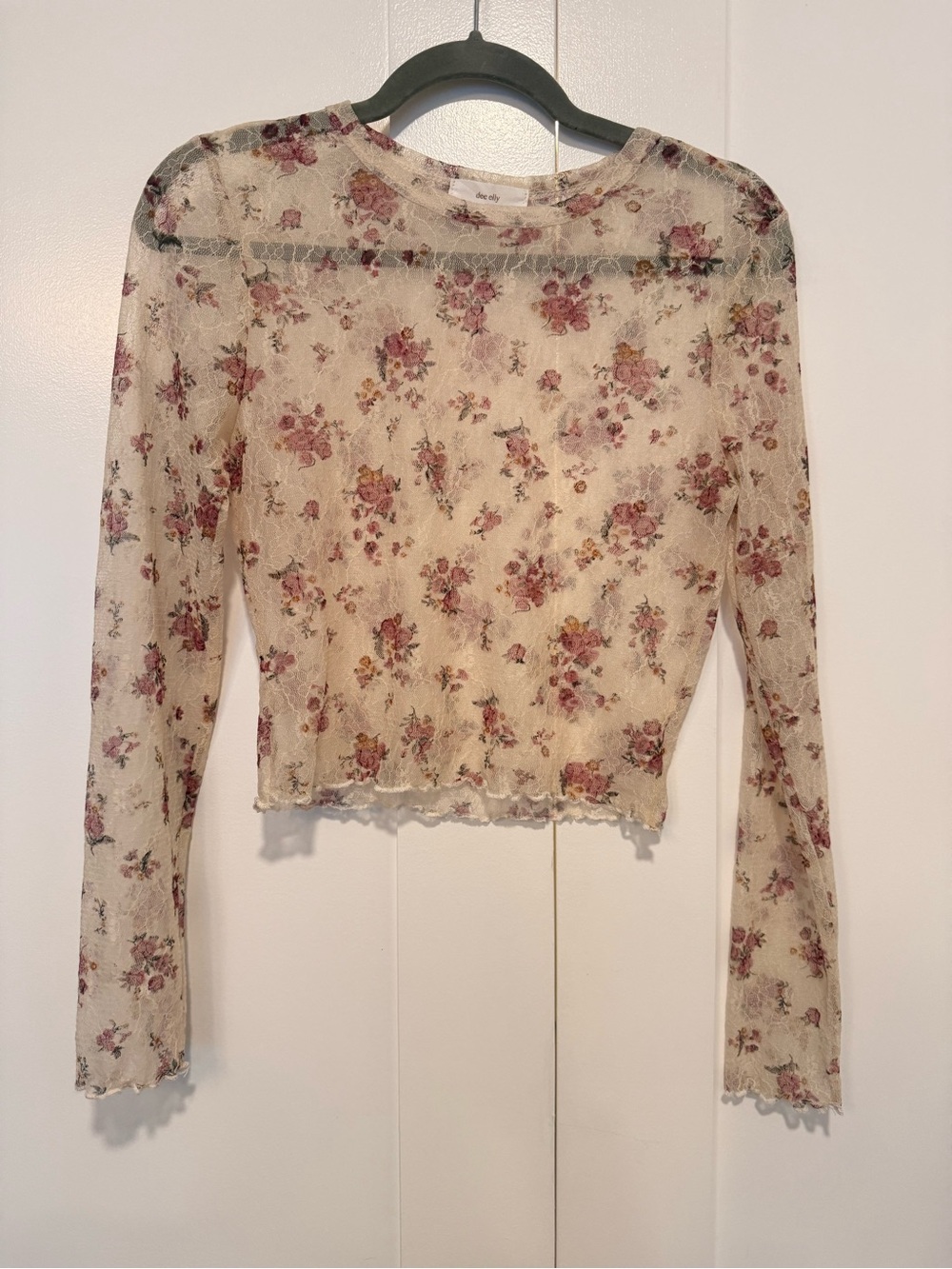 Sheer Floral Mesh Long-Sleeve Top - Cream with Pink Roses